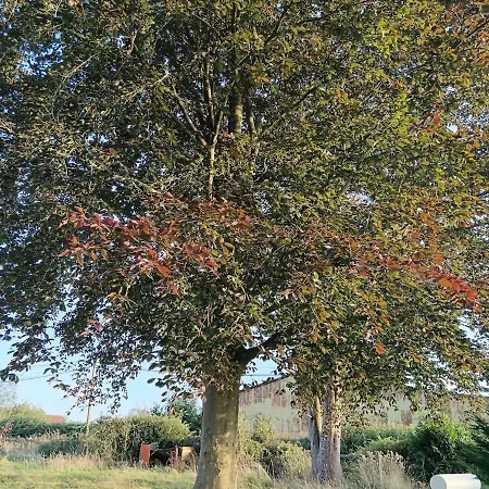 Normande Les Nautoux * Saint-Etienne-l'Allier